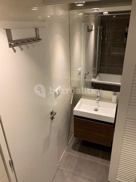 1 bedroom with open-plan kitchen flat to rent, 55 m², U Libeňského pivovaru, Prague, Prague 1 bedroom with open-plan kitchen flat to rent, 55 m², U Libeňského pivovaru, Prague, Prague