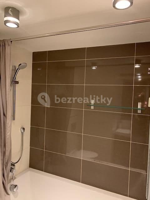 1 bedroom with open-plan kitchen flat to rent, 55 m², U Libeňského pivovaru, Prague, Prague 1 bedroom with open-plan kitchen flat to rent, 55 m², U Libeňského pivovaru, Prague, Prague