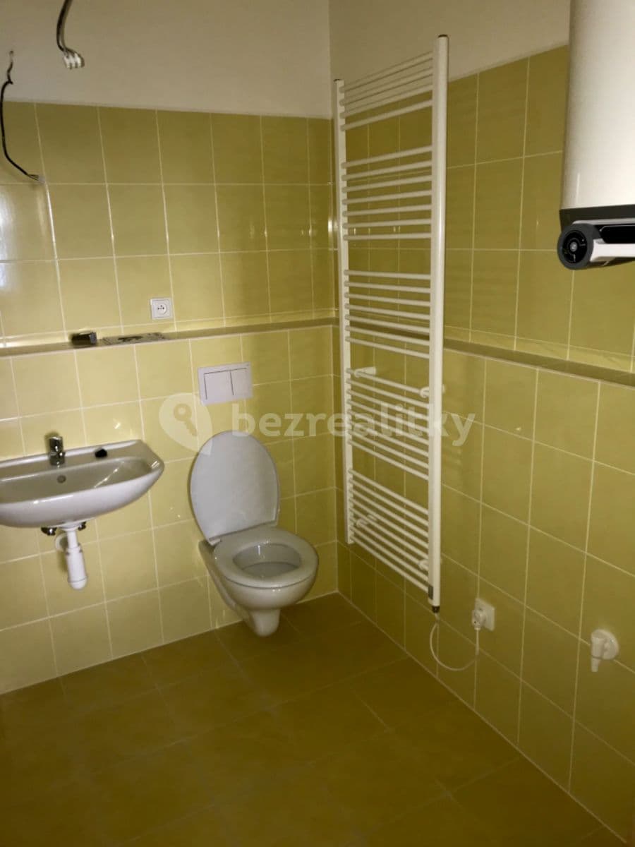 1 bedroom with open-plan kitchen flat to rent, 56 m², Bolzanova, Chýně, Středočeský Region