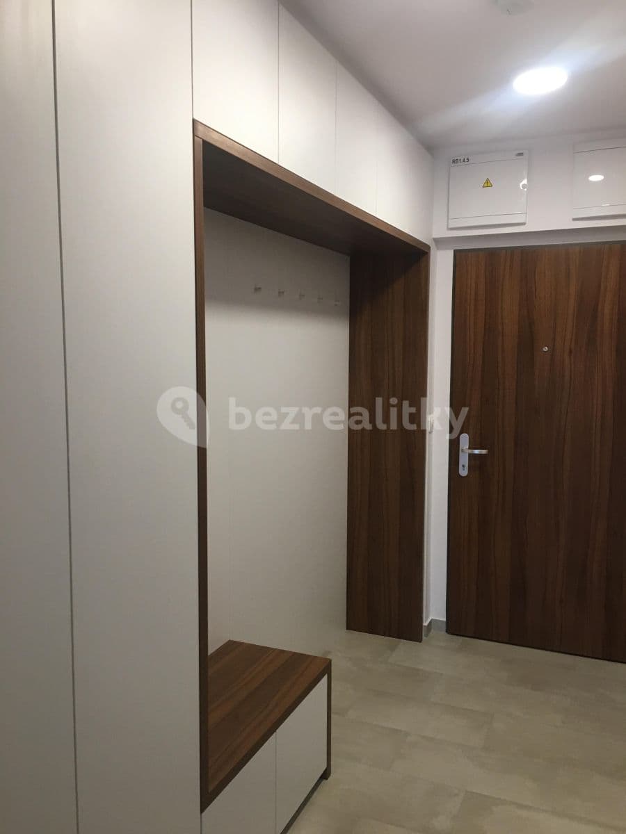 1 bedroom with open-plan kitchen flat to rent, 60 m², Hadovitá, Prague, Prague 1 bedroom with open-plan kitchen flat to rent, 60 m², Hadovitá, Prague, Prague