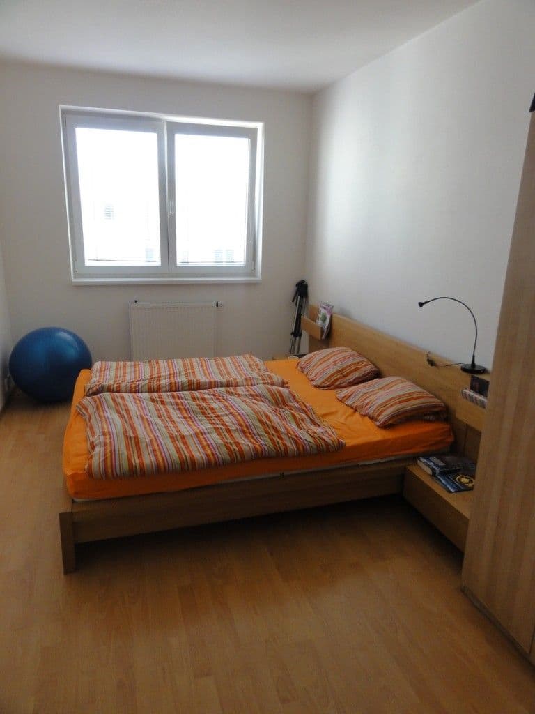 1 bedroom with open-plan kitchen flat to rent, 56 m², Rižská, Prague, Prague 1 bedroom with open-plan kitchen flat to rent, 56 m², Rižská, Prague, Prague