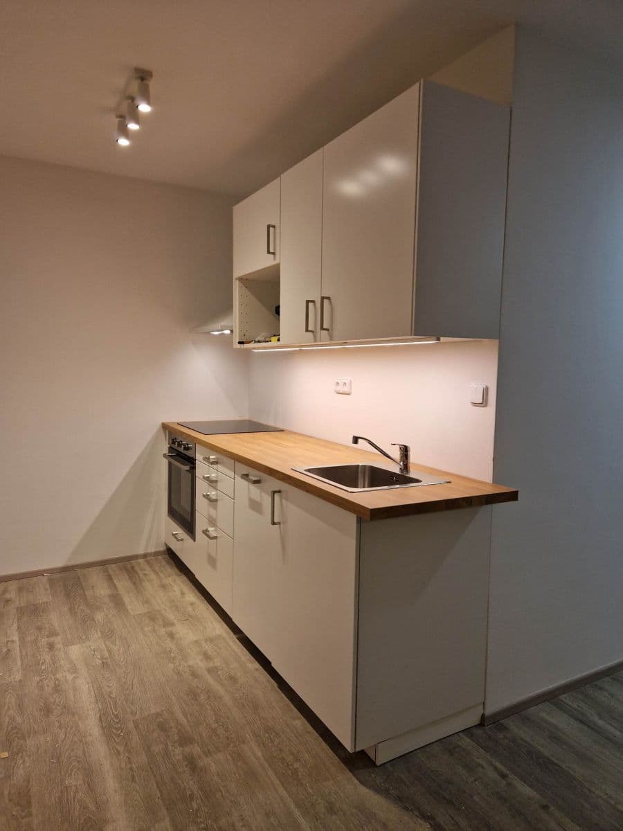 1 bedroom with open-plan kitchen flat to rent, 43 m², Roháčova, Prague, Prague 1 bedroom with open-plan kitchen flat to rent, 43 m², Roháčova, Prague, Prague