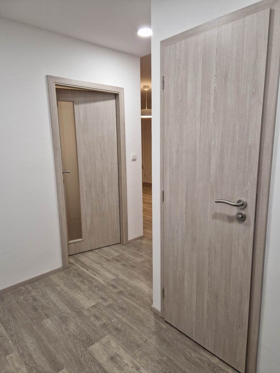 1 bedroom with open-plan kitchen flat to rent, 43 m², Roháčova, Prague, Prague 1 bedroom with open-plan kitchen flat to rent, 43 m², Roháčova, Prague, Prague