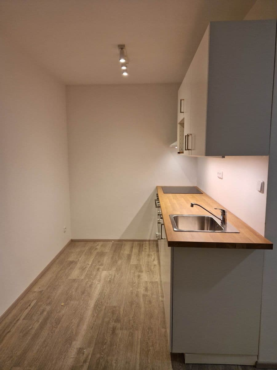 1 bedroom with open-plan kitchen flat to rent, 43 m², Roháčova, Prague, Prague 1 bedroom with open-plan kitchen flat to rent, 43 m², Roháčova, Prague, Prague