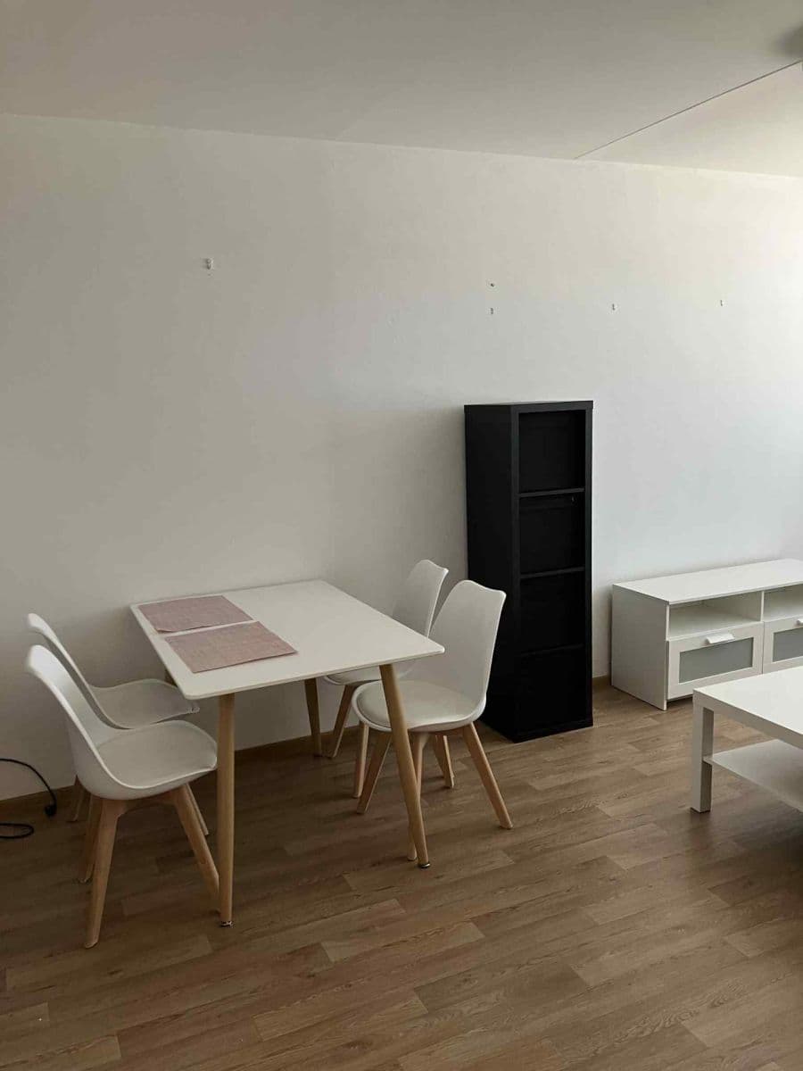 1 bedroom with open-plan kitchen flat to rent, 46 m², Sezemínská, Prague, Prague 1 bedroom with open-plan kitchen flat to rent, 46 m², Sezemínská, Prague, Prague