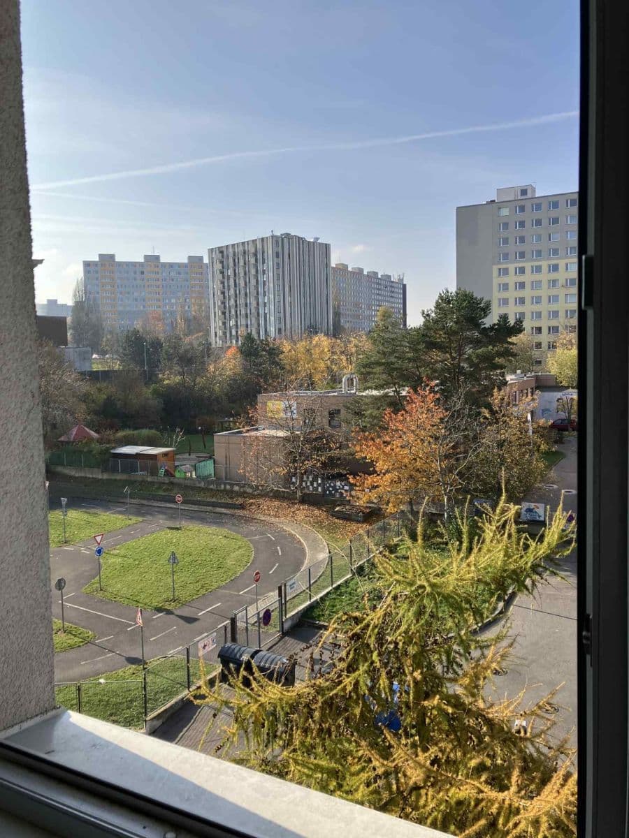 1 bedroom with open-plan kitchen flat to rent, 46 m², Sezemínská, Prague, Prague 1 bedroom with open-plan kitchen flat to rent, 46 m², Sezemínská, Prague, Prague