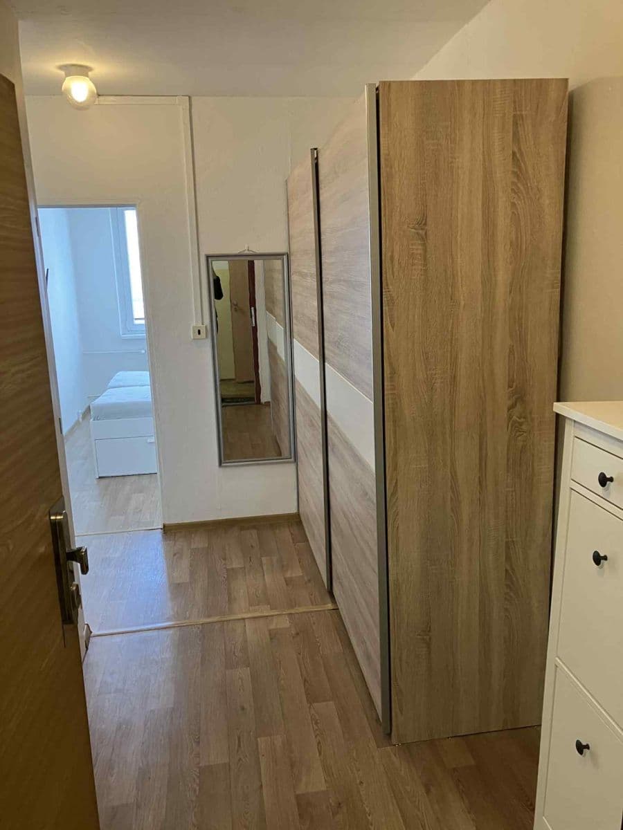 1 bedroom with open-plan kitchen flat to rent, 46 m², Sezemínská, Prague, Prague 1 bedroom with open-plan kitchen flat to rent, 46 m², Sezemínská, Prague, Prague