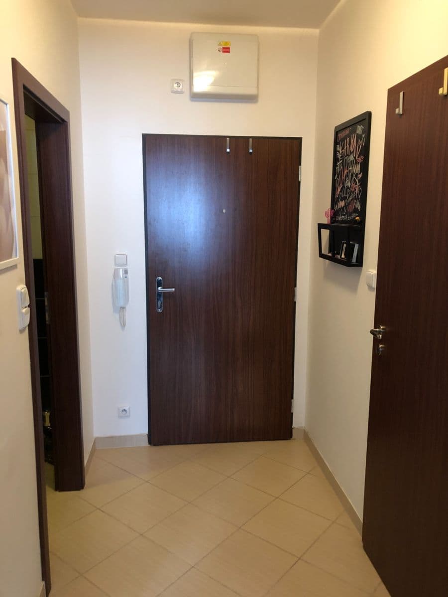 1 bedroom with open-plan kitchen flat to rent, 49 m², Makedonská, Prague, Prague 1 bedroom with open-plan kitchen flat to rent, 49 m², Makedonská, Prague, Prague