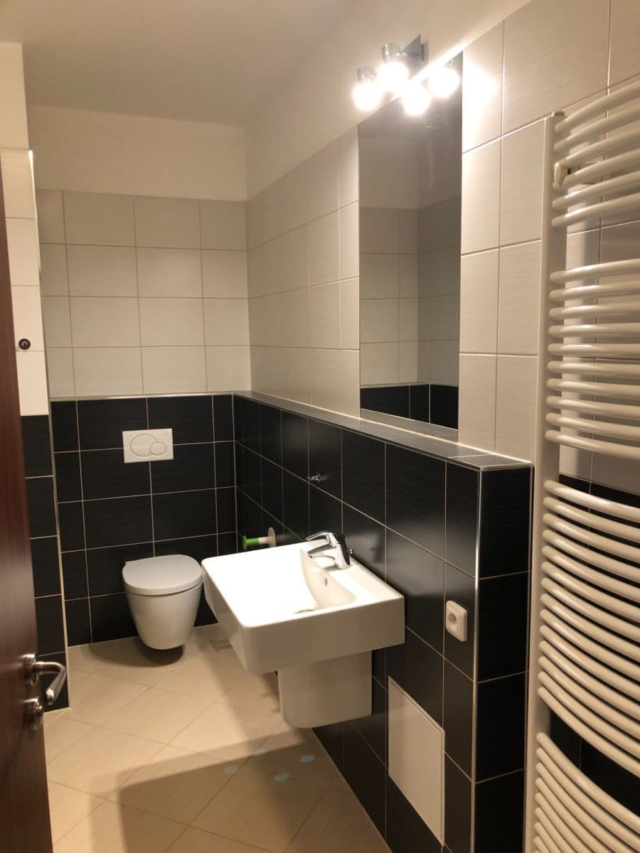 1 bedroom with open-plan kitchen flat to rent, 49 m², Makedonská, Prague, Prague 1 bedroom with open-plan kitchen flat to rent, 49 m², Makedonská, Prague, Prague