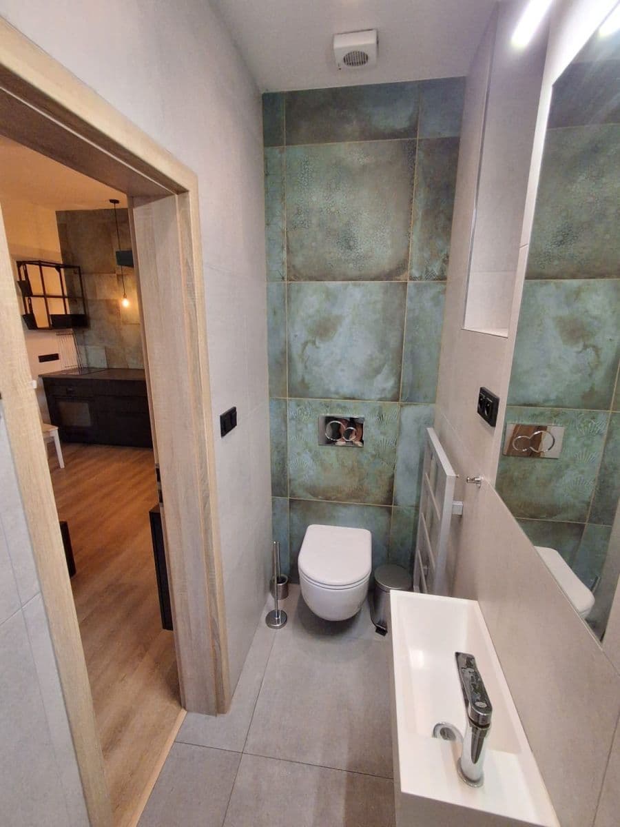 Studio flat to rent, 25 m², Fibichova, Prague, Prague Studio flat to rent, 25 m², Fibichova, Prague, Prague