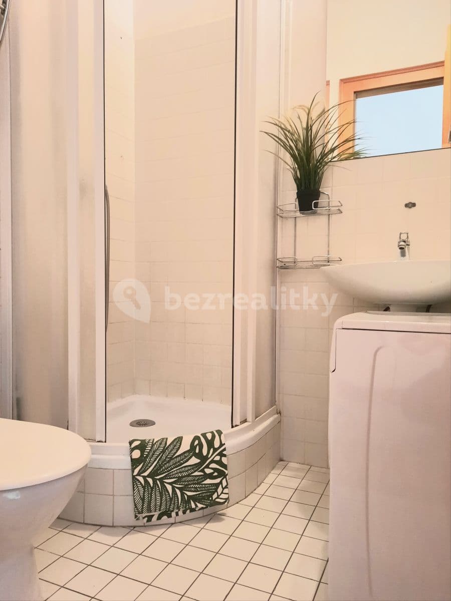 Studio flat to rent, 23 m², Vlkova, Prague, Prague Studio flat to rent, 23 m², Vlkova, Prague, Prague