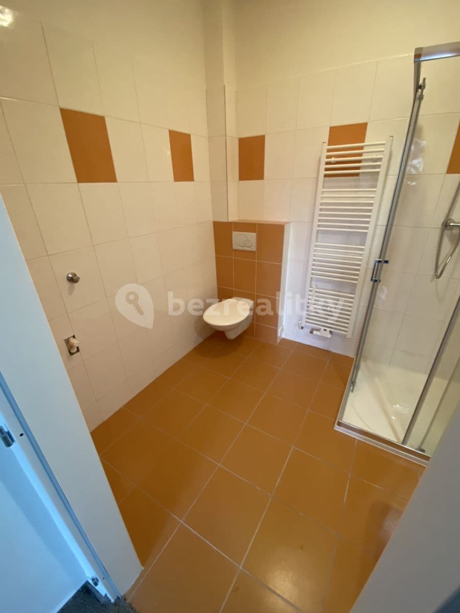 1 bedroom with open-plan kitchen flat to rent, 45 m², Za horou, Prague, Prague 1 bedroom with open-plan kitchen flat to rent, 45 m², Za horou, Prague, Prague