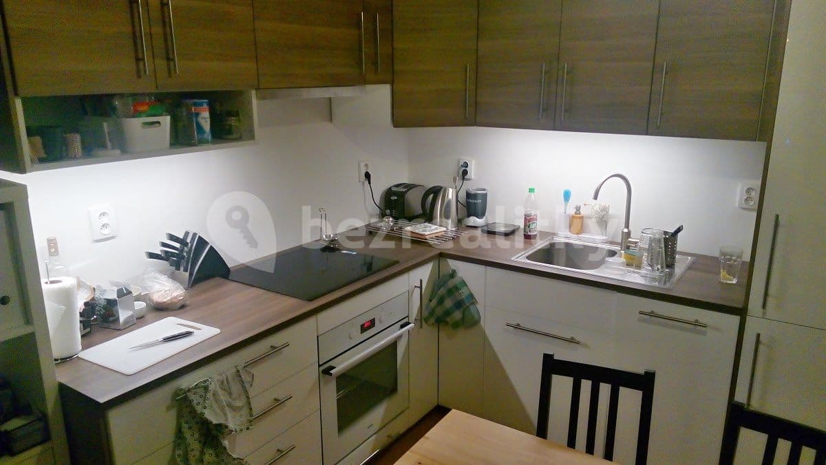 1 bedroom with open-plan kitchen flat to rent, 51 m², Musílkova, Prague, Prague 1 bedroom with open-plan kitchen flat to rent, 51 m², Musílkova, Prague, Prague