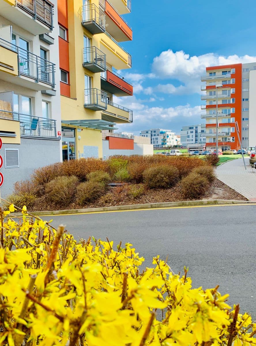 2 bedroom with open-plan kitchen flat to rent, 60 m², Miroslava Hajna, Prague, Prague 2 bedroom with open-plan kitchen flat to rent, 60 m², Miroslava Hajna, Prague, Prague