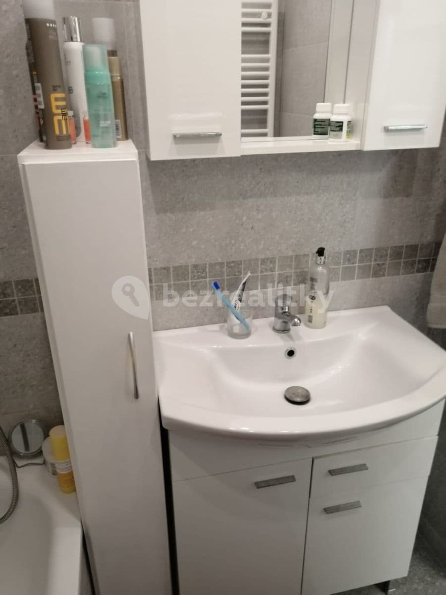 1 bedroom with open-plan kitchen flat to rent, 43 m², Okružní, Slaný, Středočeský Region 1 bedroom with open-plan kitchen flat to rent, 43 m², Okružní, Slaný, Středočeský Region