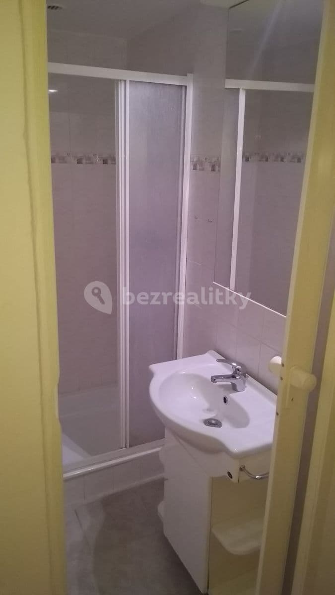 Studio flat to rent, 25 m², Petrohradská, Prague, Prague Studio flat to rent, 25 m², Petrohradská, Prague, Prague