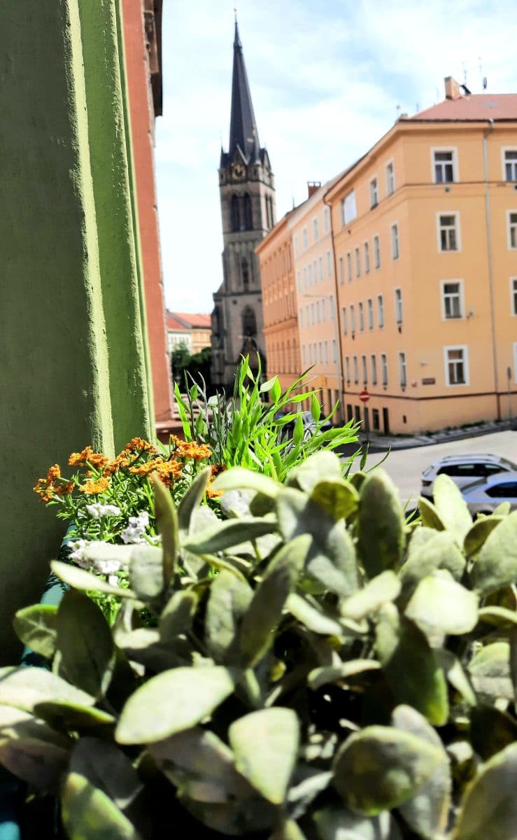 Studio flat to rent, 27 m², Vlkova, Prague, Prague Studio flat to rent, 27 m², Vlkova, Prague, Prague