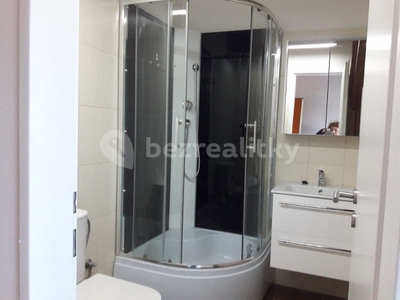 1 bedroom with open-plan kitchen flat to rent, 37 m², Pod Karlovarskou Silnicí, Prague, Prague 1 bedroom with open-plan kitchen flat to rent, 37 m², Pod Karlovarskou Silnicí, Prague, Prague