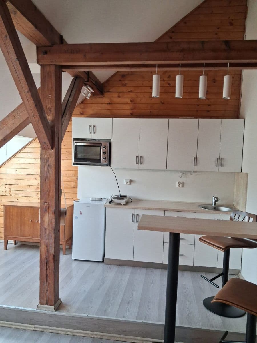 1 bedroom with open-plan kitchen flat to rent, 37 m², Pod Karlovarskou Silnicí, Prague, Prague 1 bedroom with open-plan kitchen flat to rent, 37 m², Pod Karlovarskou Silnicí, Prague, Prague