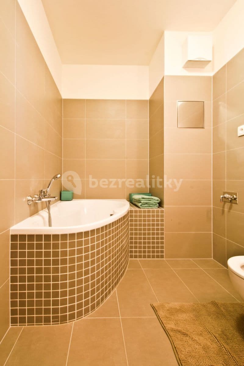 1 bedroom with open-plan kitchen flat to rent, 64 m², Škrábkových, Prague, Prague 1 bedroom with open-plan kitchen flat to rent, 64 m², Škrábkových, Prague, Prague