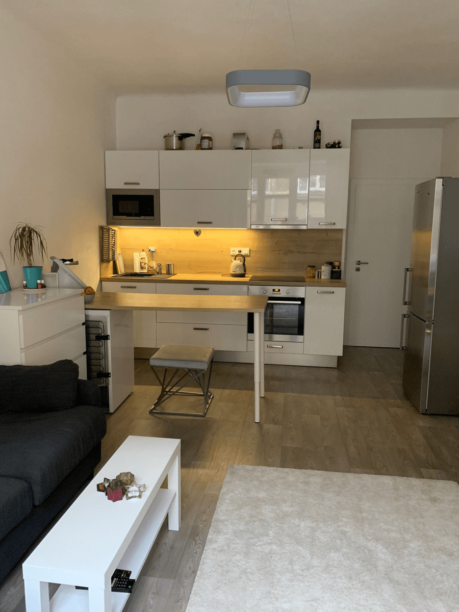 1 bedroom with open-plan kitchen flat to rent, 42 m², Žerotínova, Prague, Prague 1 bedroom with open-plan kitchen flat to rent, 42 m², Žerotínova, Prague, Prague