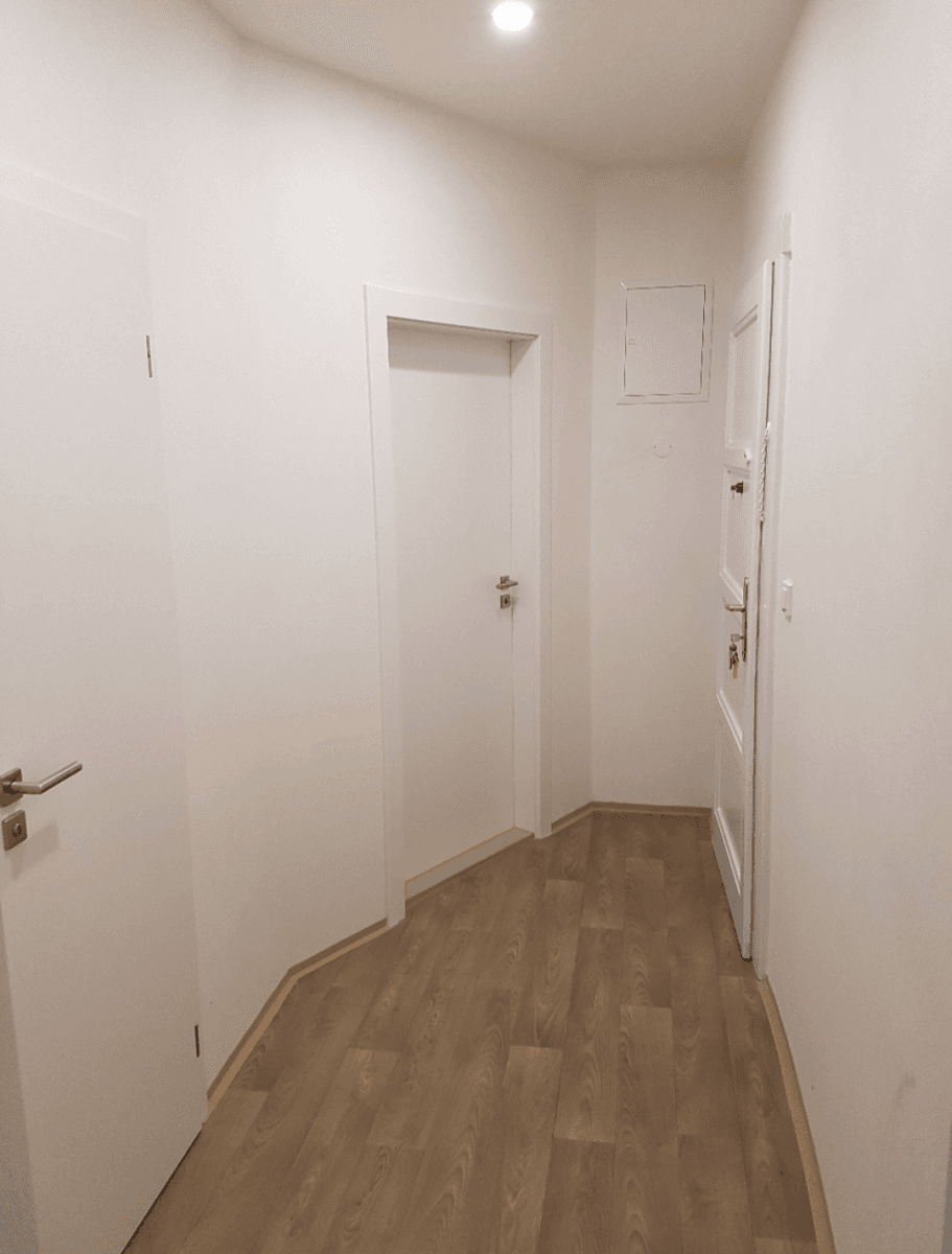 1 bedroom with open-plan kitchen flat to rent, 42 m², Žerotínova, Prague, Prague 1 bedroom with open-plan kitchen flat to rent, 42 m², Žerotínova, Prague, Prague