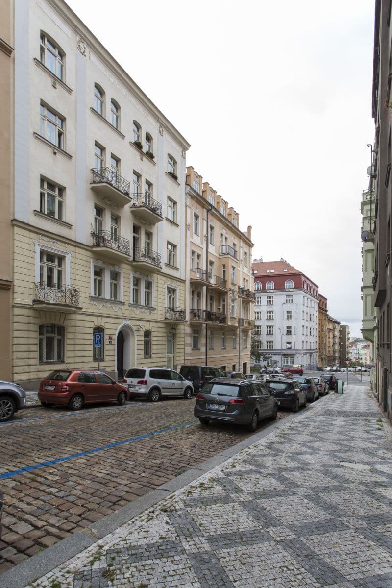 1 bedroom with open-plan kitchen flat to rent, 54 m², Slovinská, Prague, Prague 1 bedroom with open-plan kitchen flat to rent, 54 m², Slovinská, Prague, Prague
