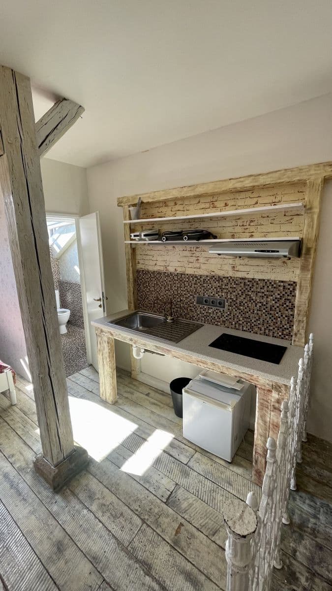 Studio flat to rent, 30 m², Lublaňská, Prague, Prague Studio flat to rent, 30 m², Lublaňská, Prague, Prague