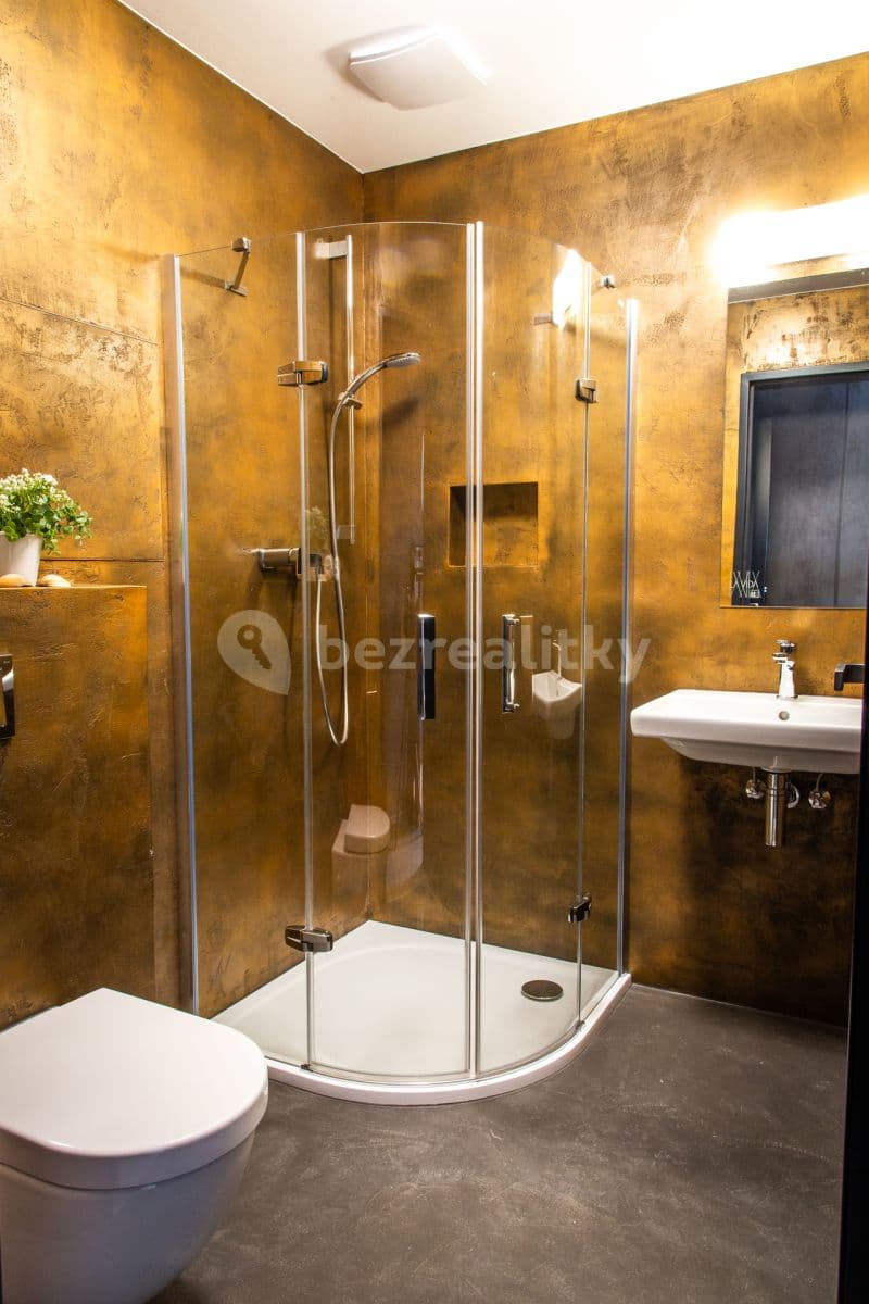 1 bedroom with open-plan kitchen flat to rent, 40 m², Šífařská, Prague, Prague 1 bedroom with open-plan kitchen flat to rent, 40 m², Šífařská, Prague, Prague