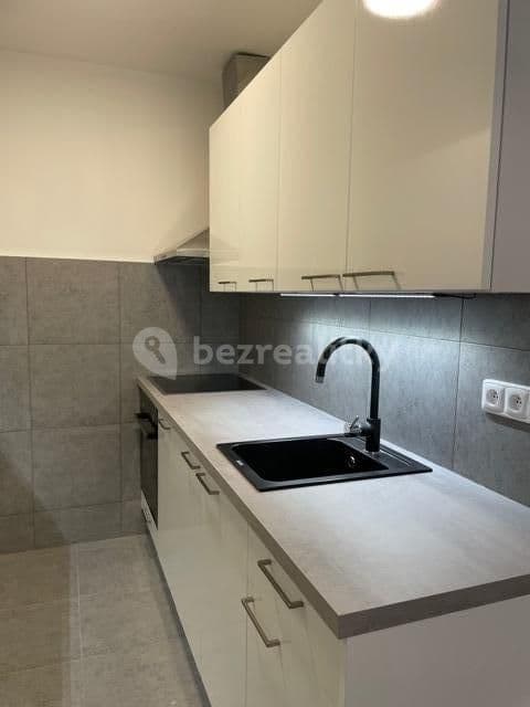 1 bedroom with open-plan kitchen flat to rent, 45 m², Famfulíkova, Prague, Prague 1 bedroom with open-plan kitchen flat to rent, 45 m², Famfulíkova, Prague, Prague
