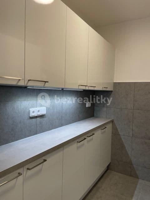 1 bedroom with open-plan kitchen flat to rent, 45 m², Famfulíkova, Prague, Prague 1 bedroom with open-plan kitchen flat to rent, 45 m², Famfulíkova, Prague, Prague