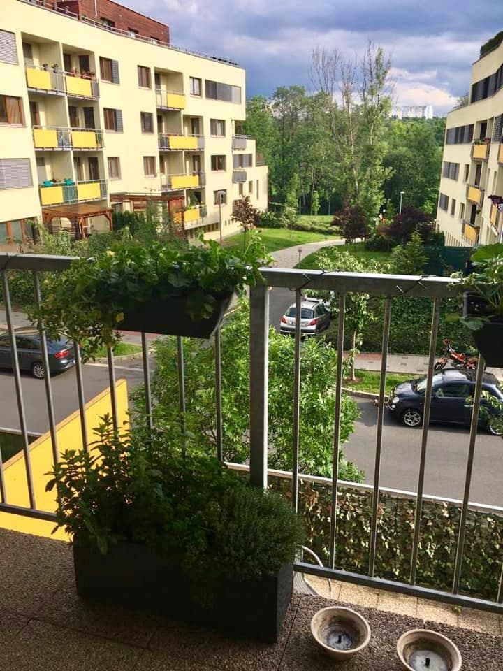 1 bedroom flat to rent, 50 m², Práčská, Prague, Prague 1 bedroom flat to rent, 50 m², Práčská, Prague, Prague