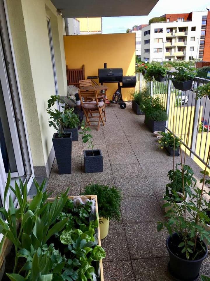 1 bedroom flat to rent, 50 m², Práčská, Prague, Prague 1 bedroom flat to rent, 50 m², Práčská, Prague, Prague