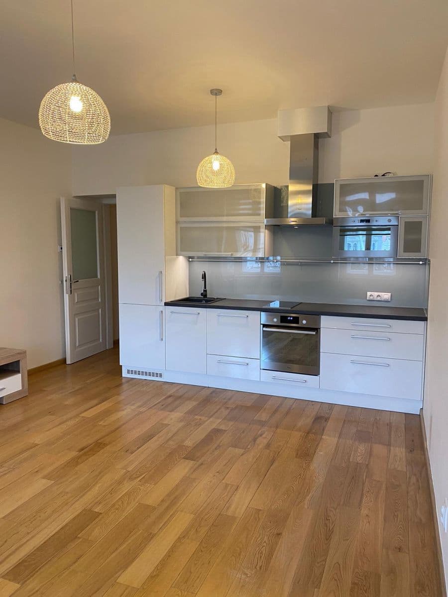 1 bedroom with open-plan kitchen flat to rent, 56 m², Elišky Peškové, Prague, Prague 1 bedroom with open-plan kitchen flat to rent, 56 m², Elišky Peškové, Prague, Prague