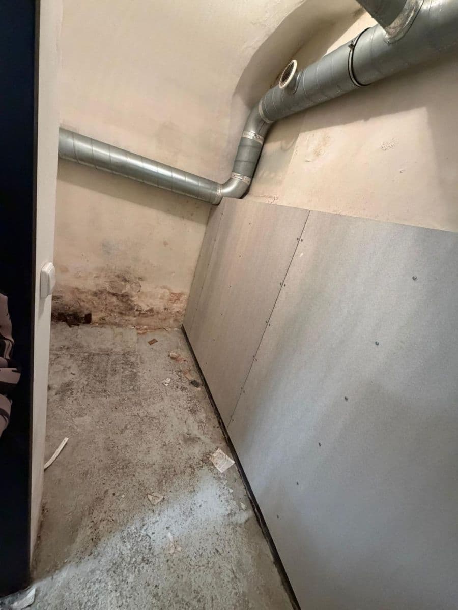 1 bedroom with open-plan kitchen flat to rent, 56 m², Elišky Peškové, Prague, Prague 1 bedroom with open-plan kitchen flat to rent, 56 m², Elišky Peškové, Prague, Prague