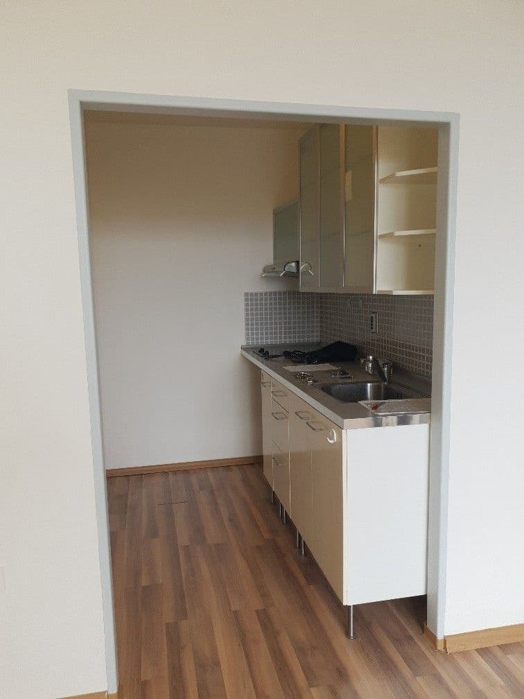 1 bedroom with open-plan kitchen flat to rent, 46 m², Ke Kateřinkám, Prague, Prague 1 bedroom with open-plan kitchen flat to rent, 46 m², Ke Kateřinkám, Prague, Prague