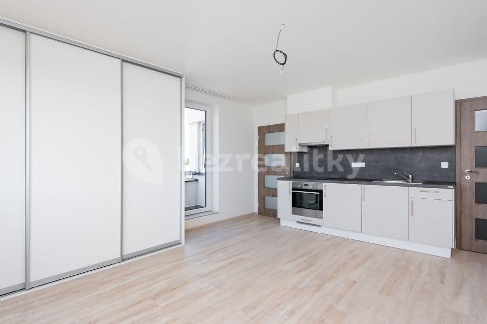 1 bedroom with open-plan kitchen flat to rent, 42 m², Kadečkové, Prague, Prague 1 bedroom with open-plan kitchen flat to rent, 42 m², Kadečkové, Prague, Prague