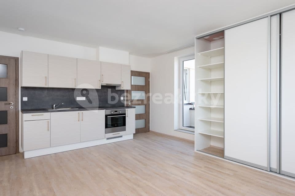 1 bedroom with open-plan kitchen flat to rent, 42 m², Kadečkové, Prague, Prague 1 bedroom with open-plan kitchen flat to rent, 42 m², Kadečkové, Prague, Prague