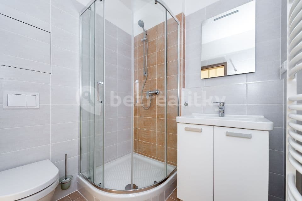 1 bedroom with open-plan kitchen flat to rent, 42 m², Kadečkové, Prague, Prague 1 bedroom with open-plan kitchen flat to rent, 42 m², Kadečkové, Prague, Prague