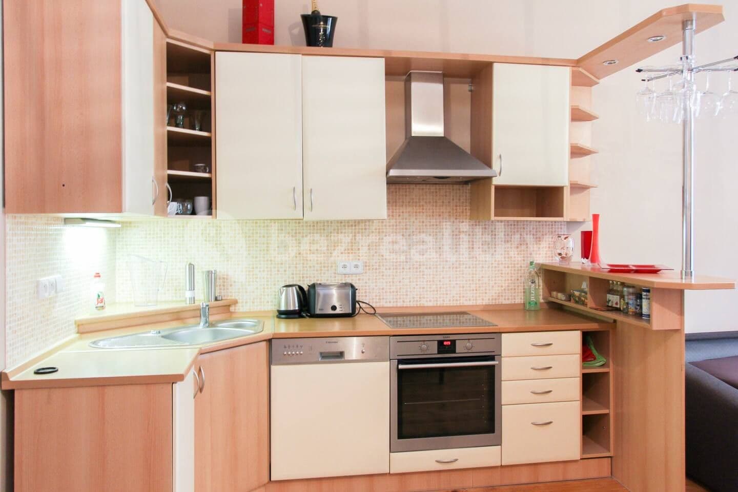 1 bedroom with open-plan kitchen flat to rent, 44 m², Havanská, Prague, Prague 1 bedroom with open-plan kitchen flat to rent, 44 m², Havanská, Prague, Prague