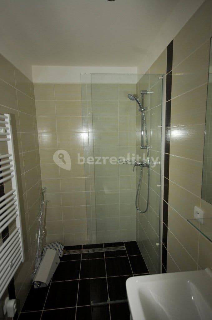 1 bedroom with open-plan kitchen flat to rent, 44 m², Havanská, Prague, Prague 1 bedroom with open-plan kitchen flat to rent, 44 m², Havanská, Prague, Prague