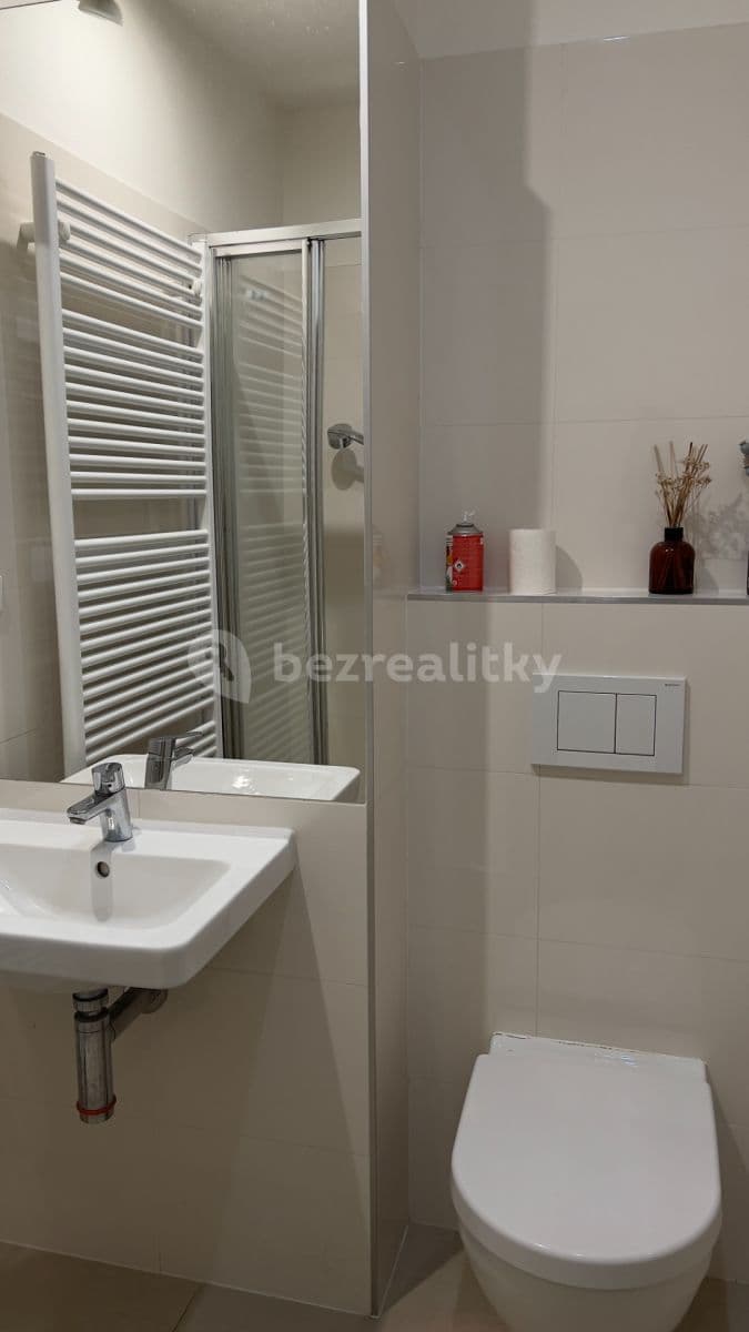 1 bedroom with open-plan kitchen flat to rent, 55 m², 28. pluku, Prague, Prague 1 bedroom with open-plan kitchen flat to rent, 55 m², 28. pluku, Prague, Prague