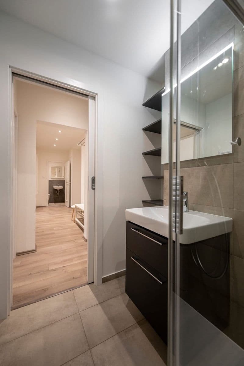 1 bedroom with open-plan kitchen flat to rent, 54 m², Budečská, Prague, Prague 1 bedroom with open-plan kitchen flat to rent, 54 m², Budečská, Prague, Prague