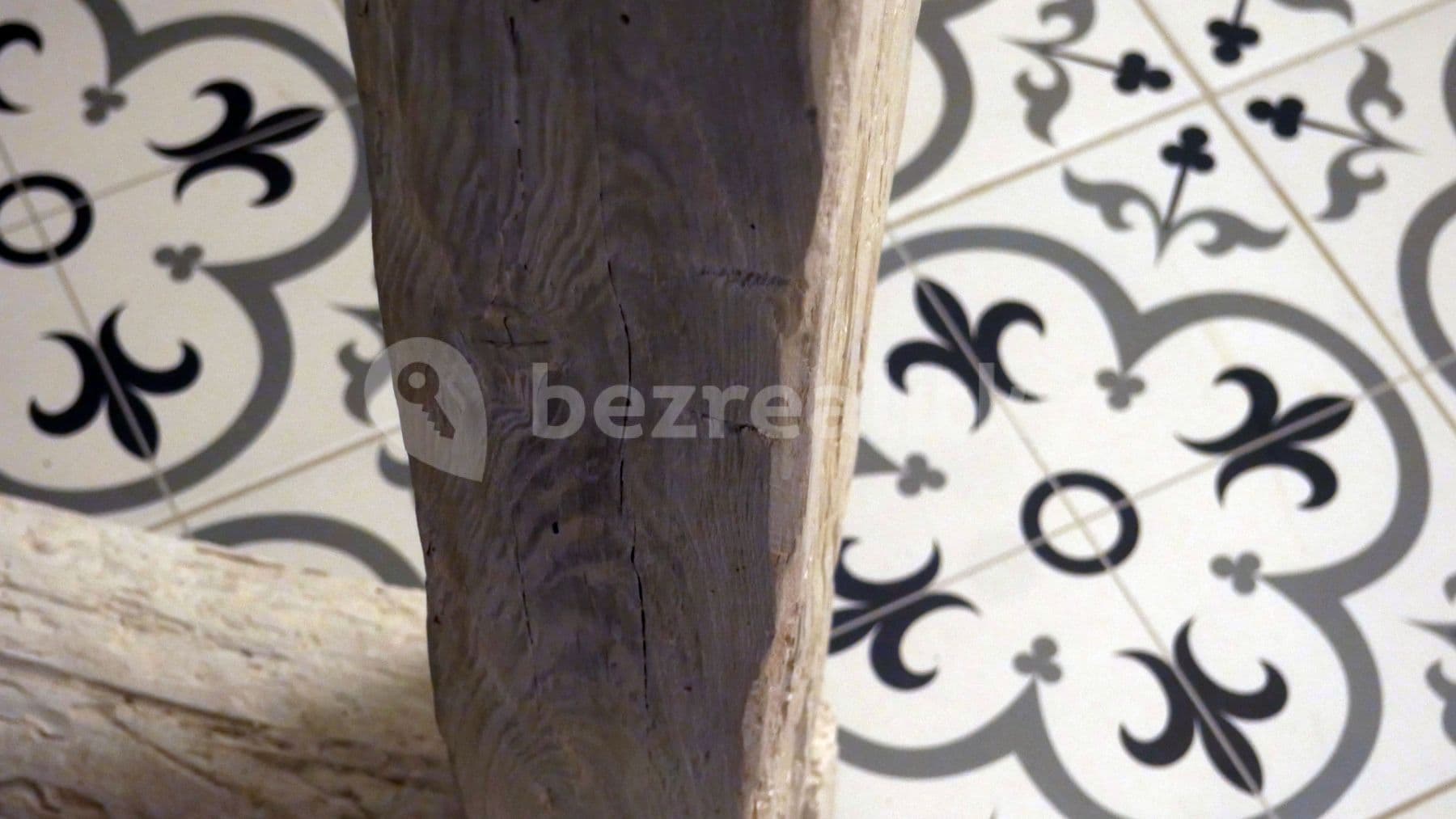 1 bedroom with open-plan kitchen flat to rent, 50 m², Kopečná, Brno, Jihomoravský Region 1 bedroom with open-plan kitchen flat to rent, 50 m², Kopečná, Brno, Jihomoravský Region