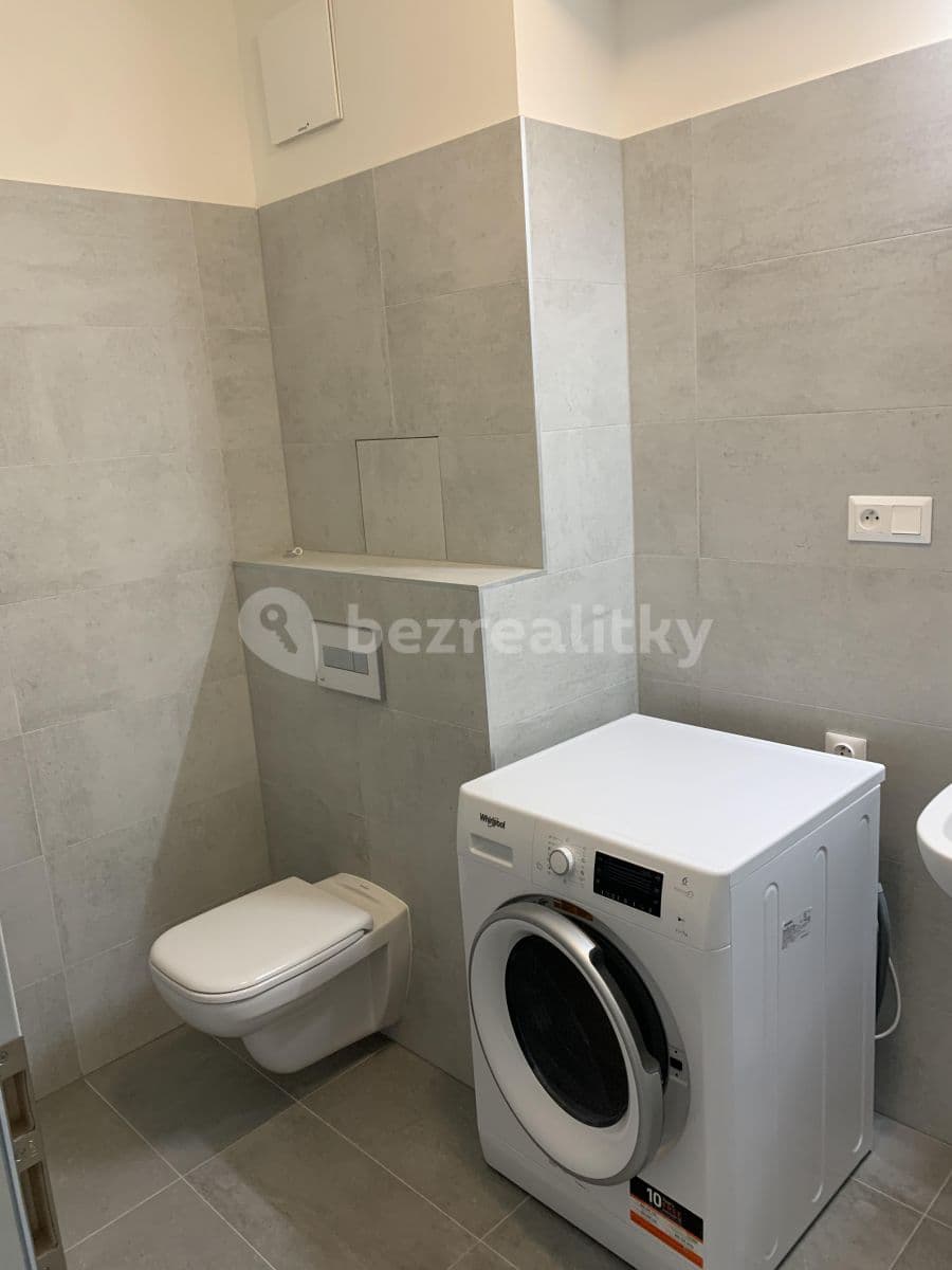 1 bedroom with open-plan kitchen flat to rent, 44 m², Prague, Prague 1 bedroom with open-plan kitchen flat to rent, 44 m², Prague, Prague