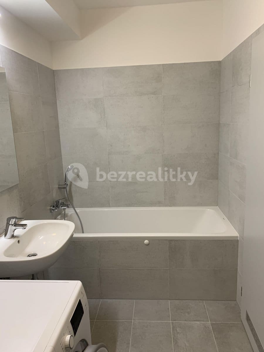 1 bedroom with open-plan kitchen flat to rent, 44 m², Prague, Prague 1 bedroom with open-plan kitchen flat to rent, 44 m², Prague, Prague