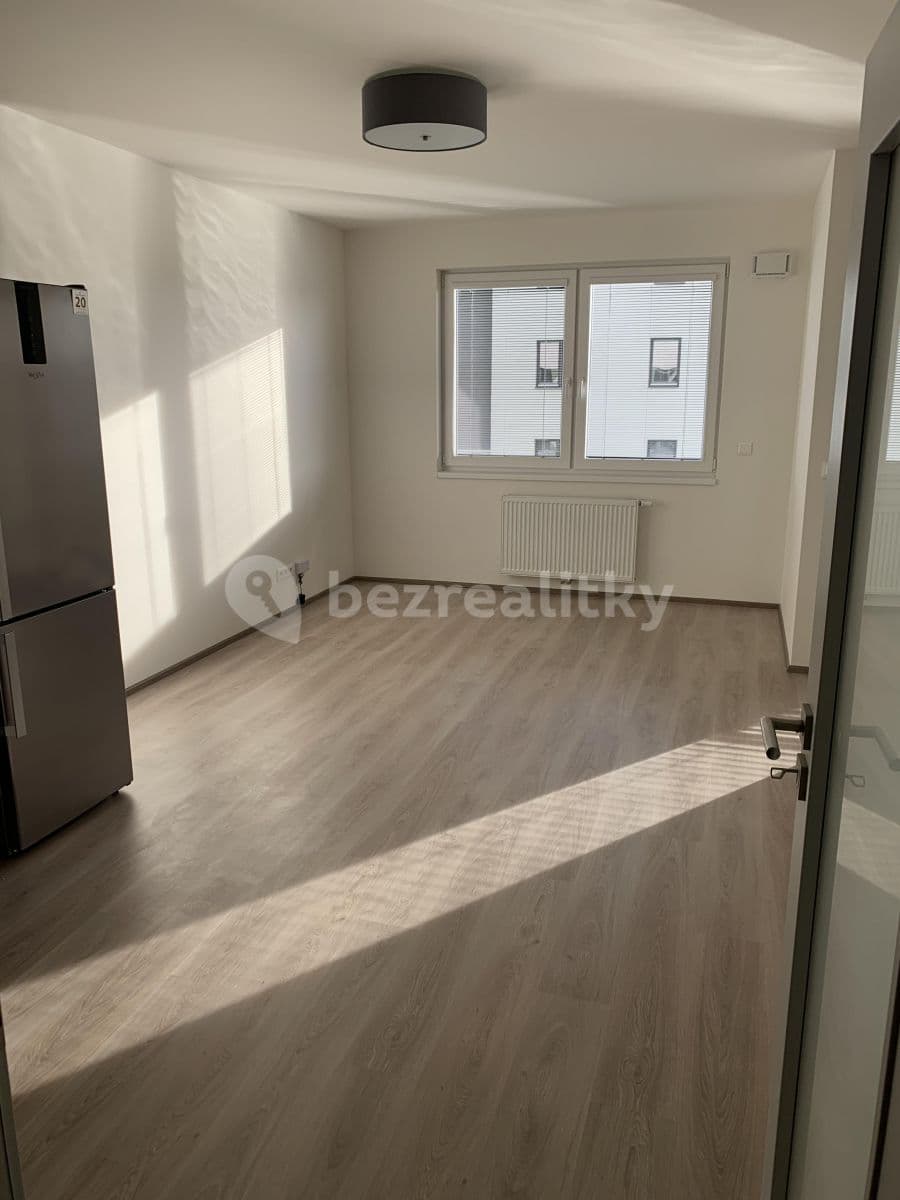 1 bedroom with open-plan kitchen flat to rent, 44 m², Prague, Prague 1 bedroom with open-plan kitchen flat to rent, 44 m², Prague, Prague