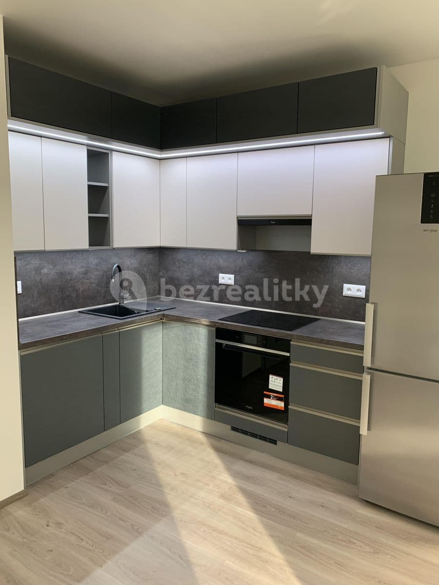1 bedroom with open-plan kitchen flat to rent, 44 m², Prague, Prague 1 bedroom with open-plan kitchen flat to rent, 44 m², Prague, Prague