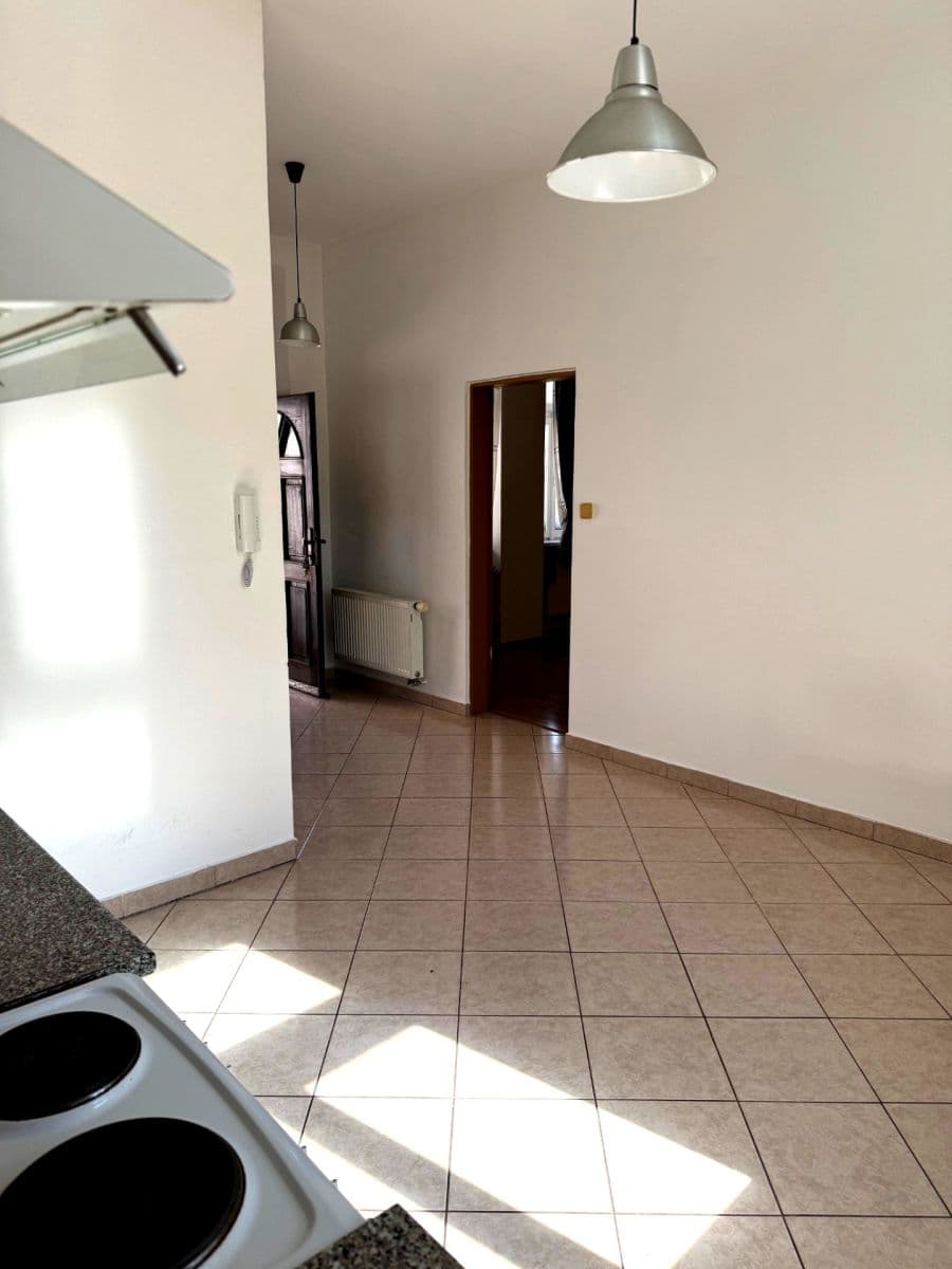1 bedroom with open-plan kitchen flat to rent, 49 m², Ostrovského, Prague, Prague 1 bedroom with open-plan kitchen flat to rent, 49 m², Ostrovského, Prague, Prague