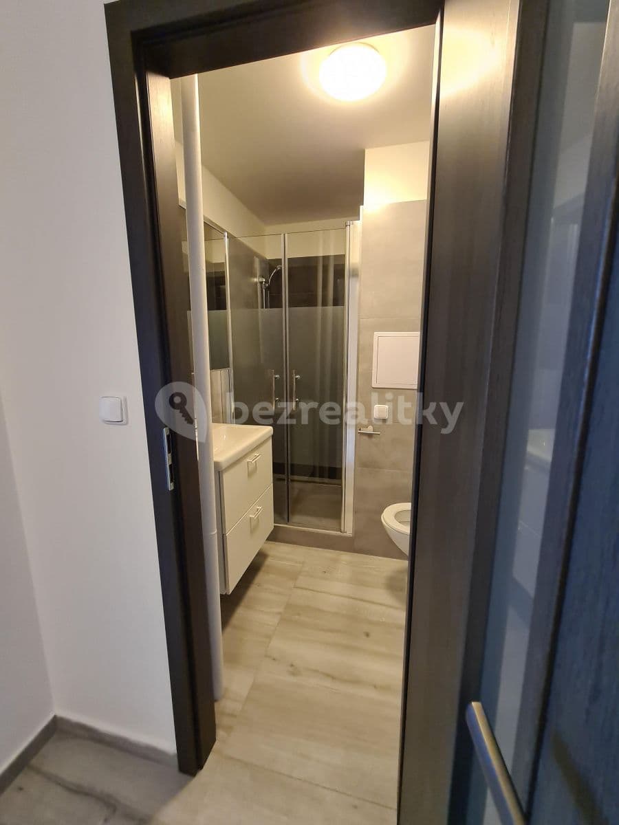 1 bedroom with open-plan kitchen flat to rent, 42 m², Tenisová, Prague, Prague 1 bedroom with open-plan kitchen flat to rent, 42 m², Tenisová, Prague, Prague